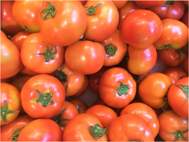 where to sell tomatoes directly